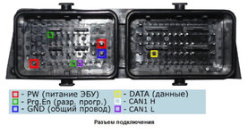 m86-piny.jpg