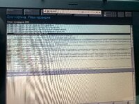 IMG_2174.jpeg