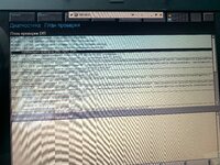 IMG_2173.jpeg