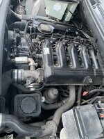 IMG_2180.jpeg
