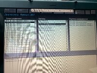 IMG_2176.jpeg