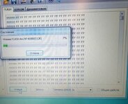 Изображение WhatsApp 2024-11-23 в 22.05.00_eff89d70.jpg