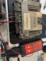 IMG_3986.jpeg