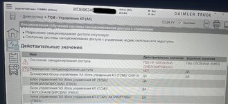 IMG_2168.jpeg
