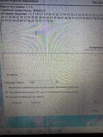 IMG_0274.jpeg