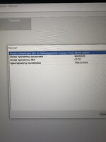 IMG_8154.jpeg