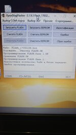1000016886.jpg