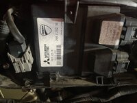 IMG_8052.jpeg
