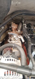 IMG_20250419_131618_741.jpg