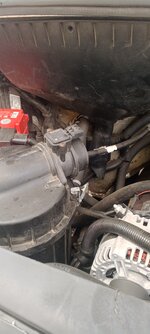IMG_20250419_131605_991.jpg