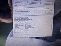 IMG_4273.jpeg
