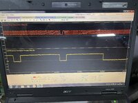 IMG_2939.jpeg