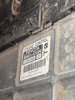 IMG_5952.jpeg