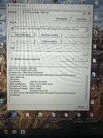 IMG_5518.jpeg