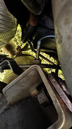 IMG_7139.jpeg
