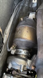 IMG_7136.jpeg