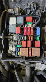 WhatsApp Image 2025-05-25 at 12.07.12.jpeg