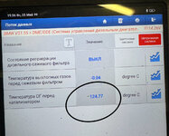 IMG_3358.jpeg