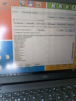 PXL_20250605_133210082.jpg