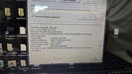 IMG_8217.jpeg