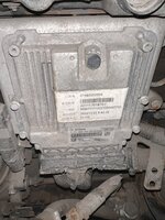 IMG_3072.jpeg