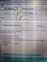 иден хюнд.jpg