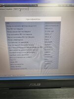 Изображение WhatsApp 2025-06-12 в 11.27.41_b27cde9a.jpg