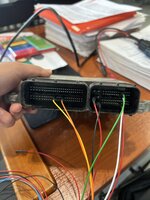 IMG_0941.jpeg