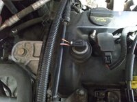 IMG_20250619_182345_9.jpg