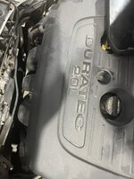 IMG_1154.jpeg