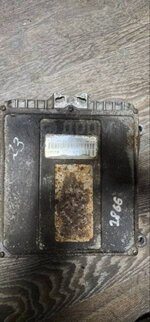 IMG_0728.jpeg