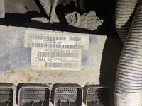 IMG_6239.jpeg