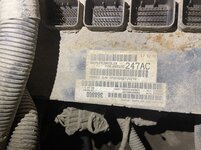 IMG_6239.jpeg