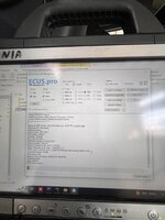 IMG_3185.jpeg