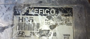 IMG_5491.jpeg