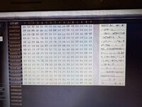 IMG_8230.jpeg