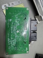 IMG_2510.jpeg