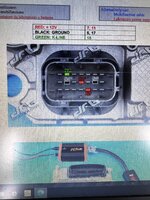 IMG_5999.jpeg