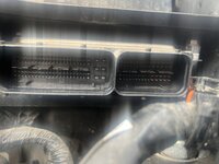 IMG_4878.jpeg