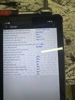 IMG_1176.jpeg