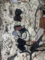 IMG_1177.jpeg