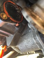 IMG_3972.jpeg