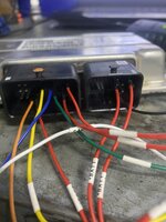 IMG_3516.jpeg