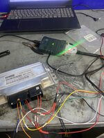 IMG_3517.jpeg