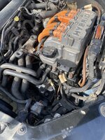 IMG_0879.jpeg
