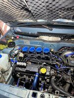 IMG_7347.jpeg
