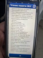 IMG_3948.jpeg