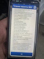 IMG_3950.jpeg