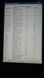 Изображение WhatsApp 2025-07-31 в 13.46.34_ff223943.jpg
