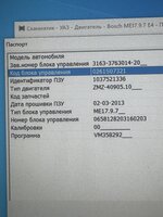 IMG_7975.jpeg
